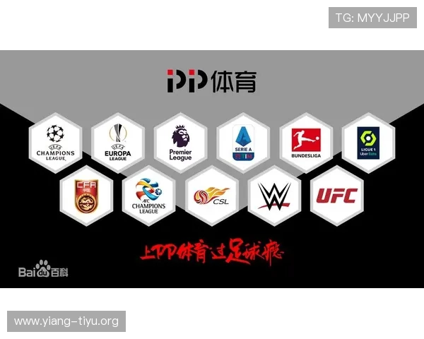 探索半岛体育官方入口的多功能界面，提升你的体育赛事观看体验